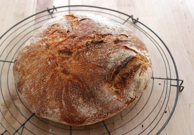 a fresh loaf of bread cools after the Baking from 